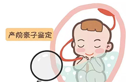 亳州怀孕需要如何做血缘检测，亳州办理怀孕亲子鉴定办理流程