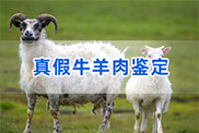 亳州羊类动物鉴定